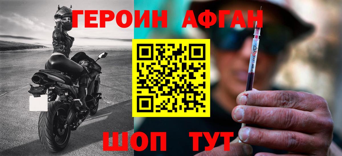 ГЕРОИН хмурый Бердск