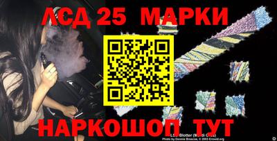крисы Аргун