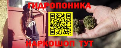 крисы Аргун