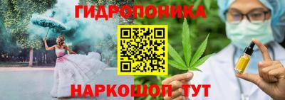 крисы Аргун