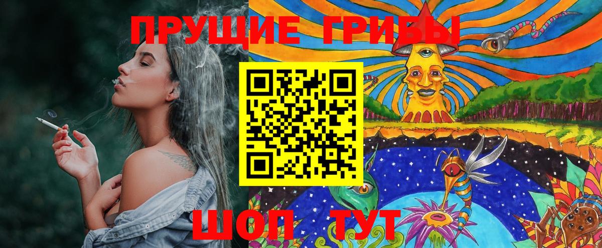 Бердск  Галлюциногенные грибы ЛСД  Галлюциногенные грибы MAGIC MUSHROOMS  Вход с VPN 